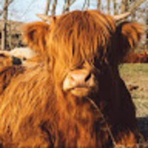 Meet your Posher, Cleo